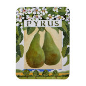 ピルス マグネット (縦)