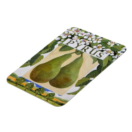 ピルス マグネット (左側)