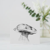 ピルツスティンピルツゼイシュヌン ポストカード (スタンド正面)