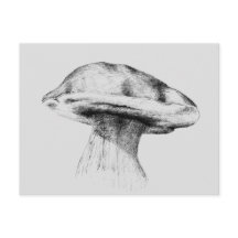 ピルツスティンピルツゼイシュヌン