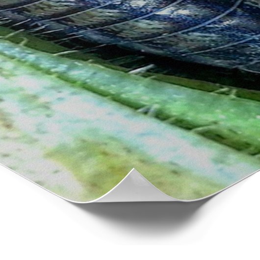 ピルバグ（写真） – ポスター (角)