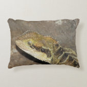 ピル アクセントクッション (正面)