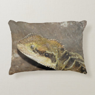 ピル アクセントクッション