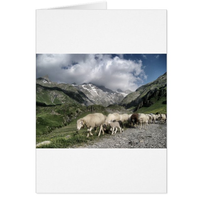 ピレネーの風景 (正面)