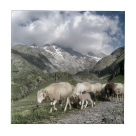 ピレネーの風景 タイル