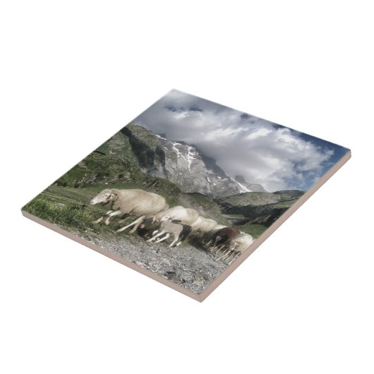 ピレネーの風景 タイル (側面)