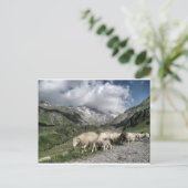 ピレネーの風景 ポストカード (スタンド正面)