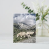 ピレネーの風景 ポストカード (スタンド正面)