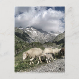 ピレネーの風景 ポストカード