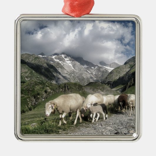 ピレネーの風景 メタルオーナメント (正面)