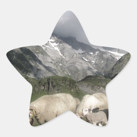ピレネーの風景 星シール (正面)