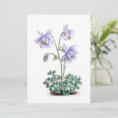 ピレネーオダマキ（植物） – アクレジアピレナカ (スタンド正面)