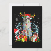 ピレネー素晴らしズトナディアクリスマスツリーライツパハ 招待状 (正面)