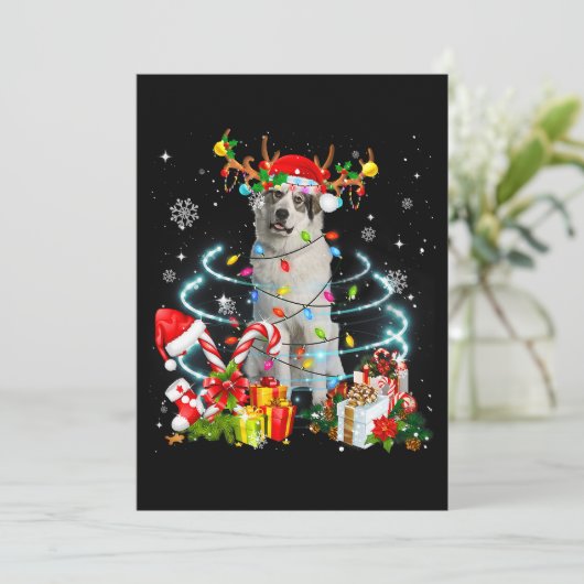 ピレネー素晴らしズトナディアクリスマスツリーライツパハ 招待状 (スタンド正面)