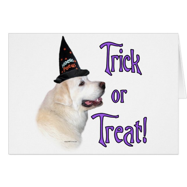 ピレネー素晴らしズトリック (正面横)