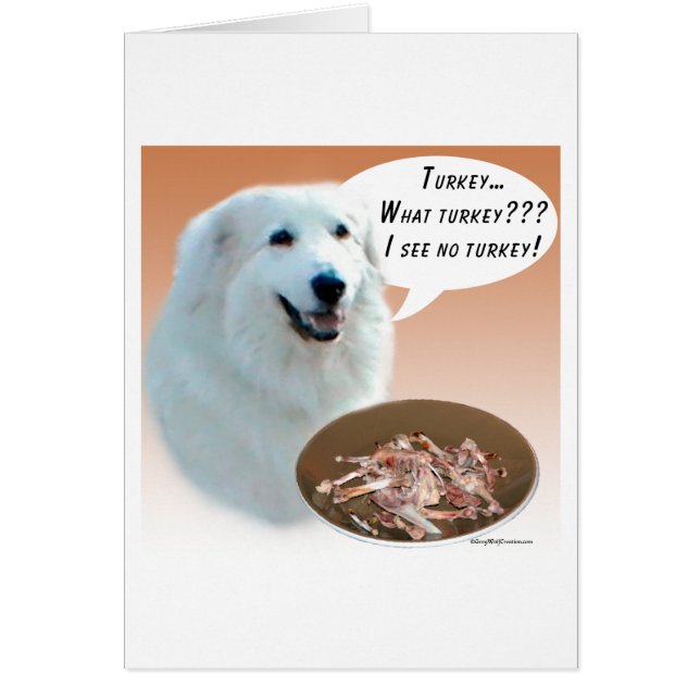 ピレネー素晴らしトルコ (正面)