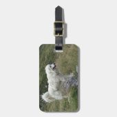 ピレネー素晴らしフル ラゲッジタグ (正面縦)