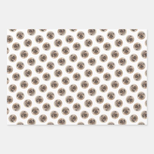 ピレネー絵を描アン・シェパードの長い毛に覆われた犬の芸術 ラッピングペーパーシート (正面2)