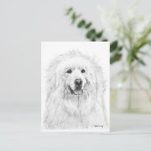 ピレネ素晴らしススケッチ ポストカード (スタンド正面)