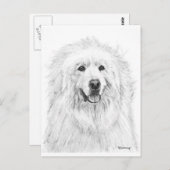 ピレネ素晴らしススケッチ ポストカード (正面/裏面)