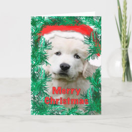 ピレネ素晴らしー·クリスマス·カード シーズンカード