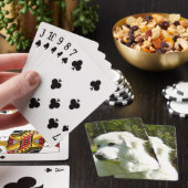 ピレネ素晴らしー トランプ (インサイチュ)