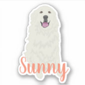 ピレパーソナライズされたネー素晴らしステッカー シール (正面)