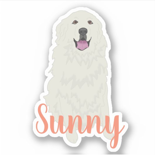 ピレパーソナライズされたネー素晴らしステッカー シール (正面)