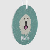 ピレパーソナライズされたネー素晴らしズ オーナメント (正面)