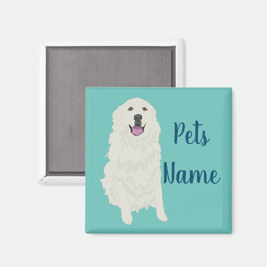 ピレパーソナライズされたネー素晴らしズ マグネット (正面/裏面)