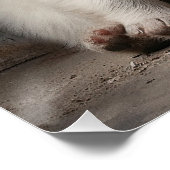 ピレフレンドリーネー素晴らしズ子犬004 - Raimon P ポスター (コーナー)