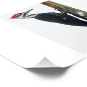 ピレ素晴らしットWoodpecker 7x5写真Pri フォトプリント (角)