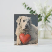 ピレ素晴らしネエスバレンタインデーヴィンテージ ポストカード (スタンド正面)