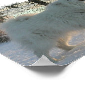 ピレ素晴らしネーのポスター ポスター (角)