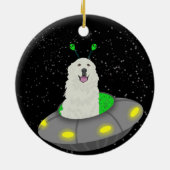 ピレ素晴らしネーエイリアンUFO セラミックオーナメント (裏面)