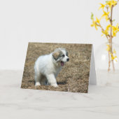 ピレ素晴らしネーズ犬 カード (黄色い花)