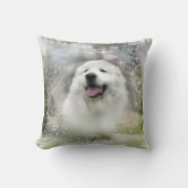 ピレ素晴らしネー化粧枕 クッション (正面)