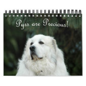 ピレ素晴らしネー暦 カレンダー (カバー)