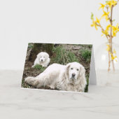 ピレ素晴らしネー犬と子犬 カード (黄色い花)