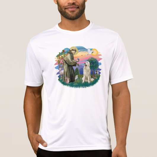 ピレ素晴らしネー語(#1) Tシャツ (正面)