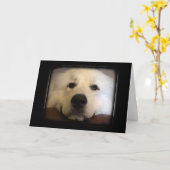 ピレ素晴らしネー カード (黄色い花)