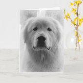 ピレ素晴らしネー カード (黄色い花)