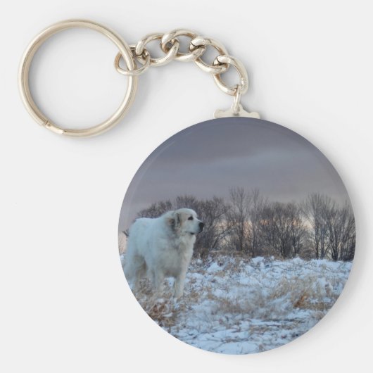 ピレ素晴らしネー キーホルダー (正面)