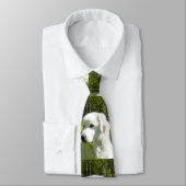 ピレ素晴らしネー ネクタイ (タイ)