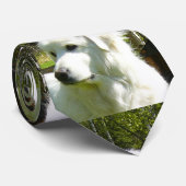 ピレ素晴らしネー ネクタイ (ロール)