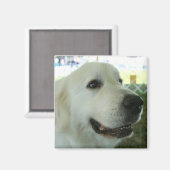 ピレ素晴らしネー マグネット (正面/裏面)