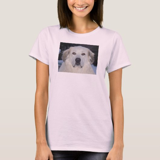 ピレ素晴らしネー Tシャツ (正面)