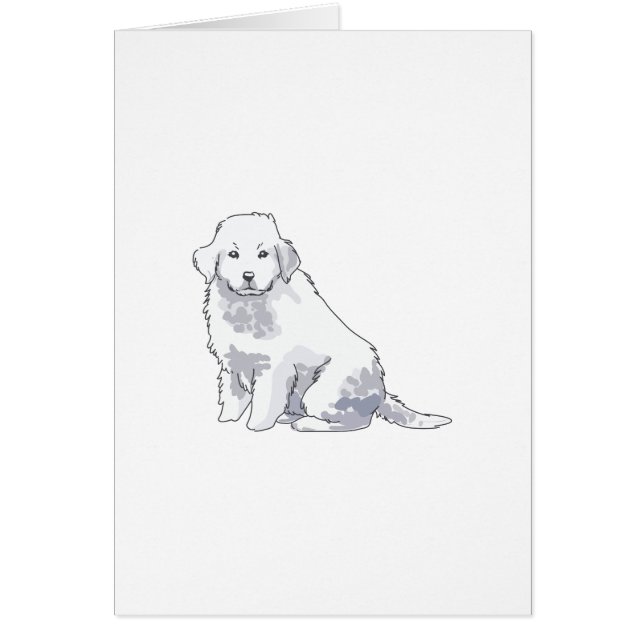 ピレ素晴らしネーPUP (正面)