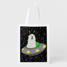 ピレ素晴らしネーUFO