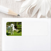 ピレ素晴らしーン全文2 ラベル (インサイチュ)